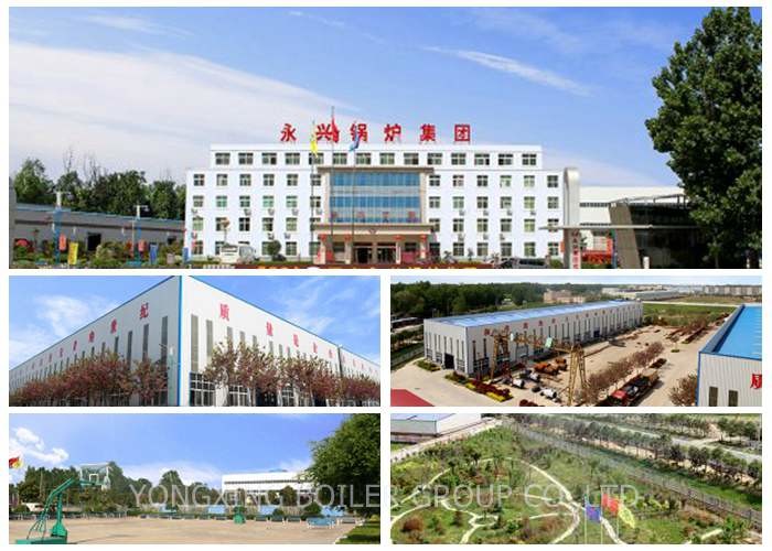 Q345R Horizontal Biomass Fired Steam Boiler , Biomass Pellet Steam Boiler