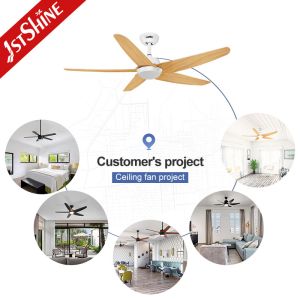 OEM Smart App Control LED Plastic Blade Ceiling Fan With light Modern Indoor
