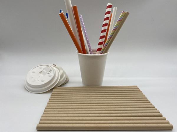 146×6mm Earth Friendly Paper Straws