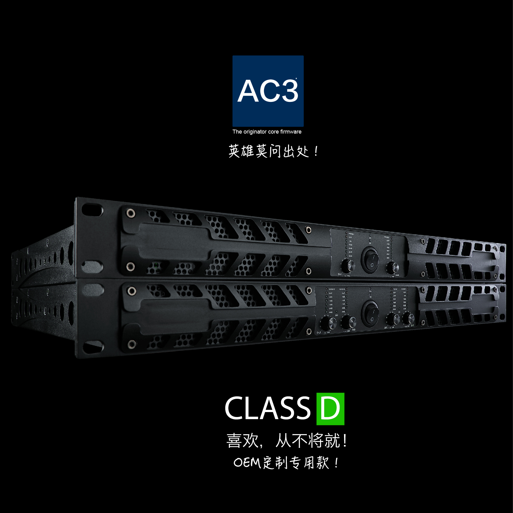 AC220V OEM Banquet Hall 100db Class D Audio Amp