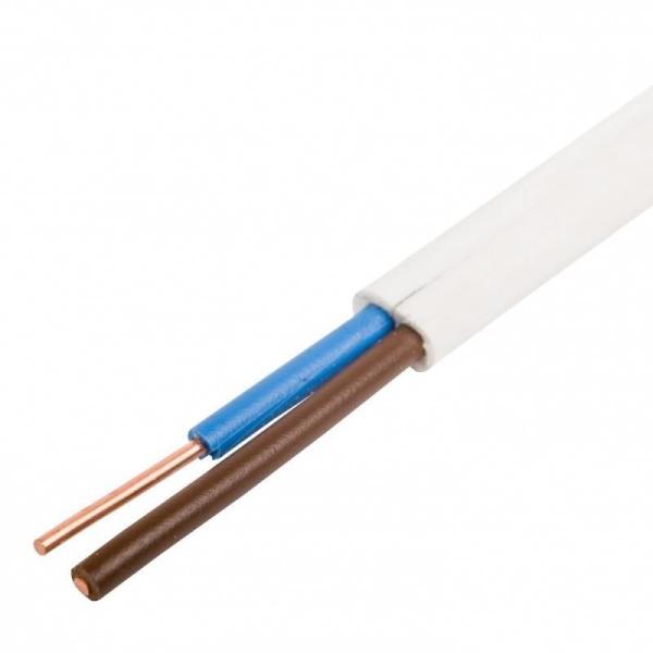 300/500V 450/750V Double Core Copper PVC Insulated Flat Electrical Wires for