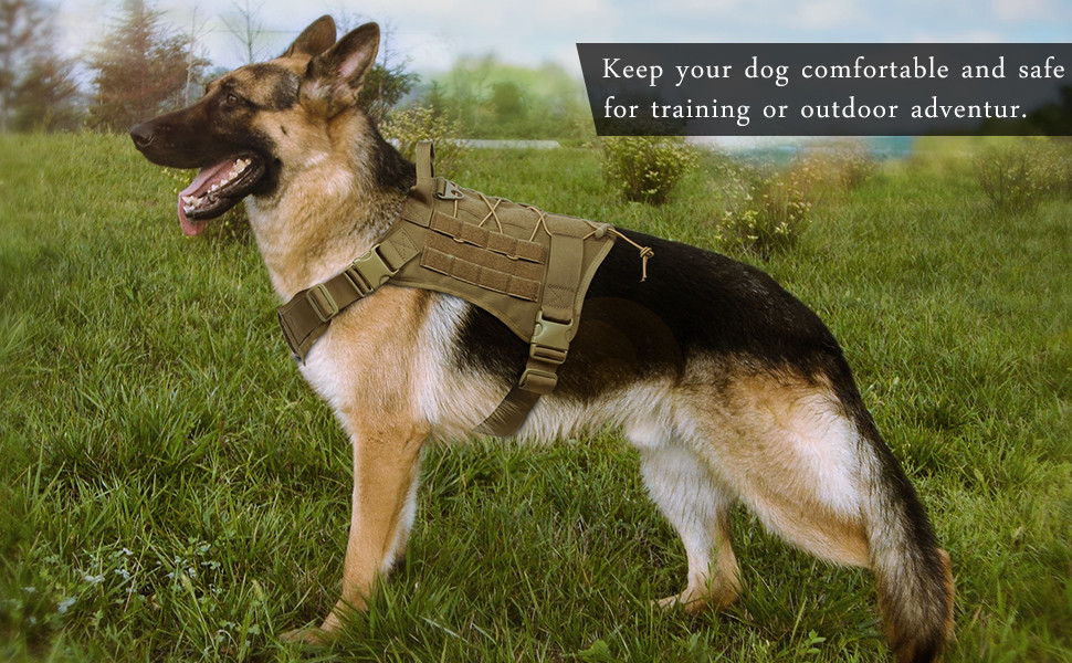 SGS 25cm Lightweight Dog Training Vest 1000D Nylon With Detachable Pouches