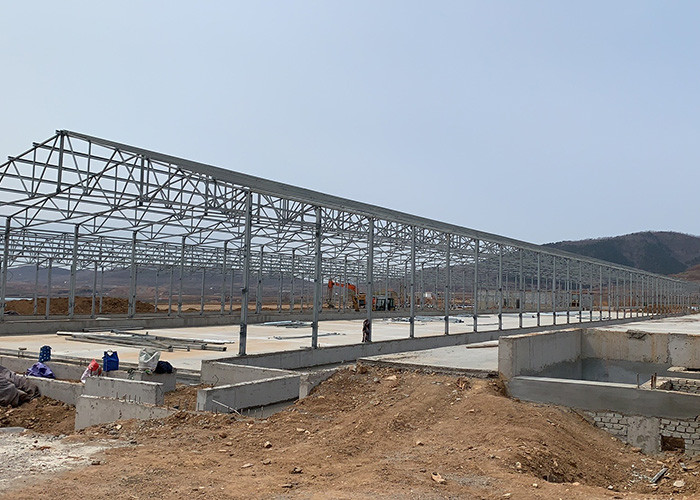 AZ150 Light Steel Structure Prefab Poultry House With Chicken Raising Equipment
