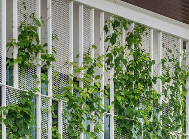 Expanded Metal Building Facade – Ventilative, Magnificent and Long Lasting