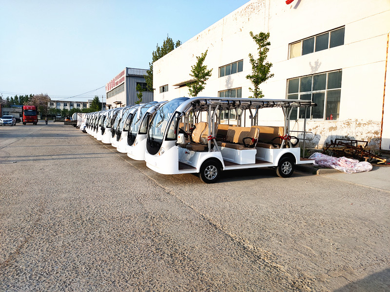 Left Hand Drive Electric Golf Buggy Lithium Battery Operated Golf Carts 2-10 Seats