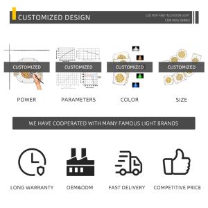 High Power Lamp Beads Led Chips COB RGB CCT 100W 200W COB LED RGB RGBW RGBCW LED