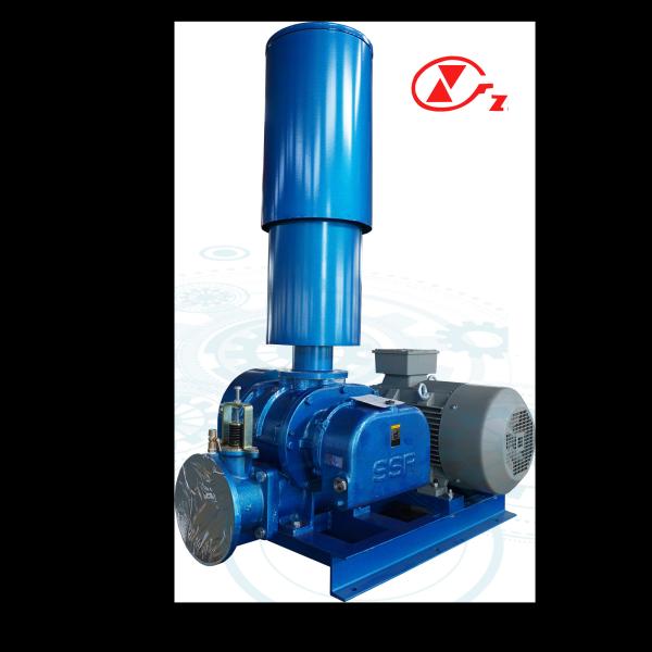 Industrial Strength Roots Vacuum Pump for Heavy Duty Applications in Harsh