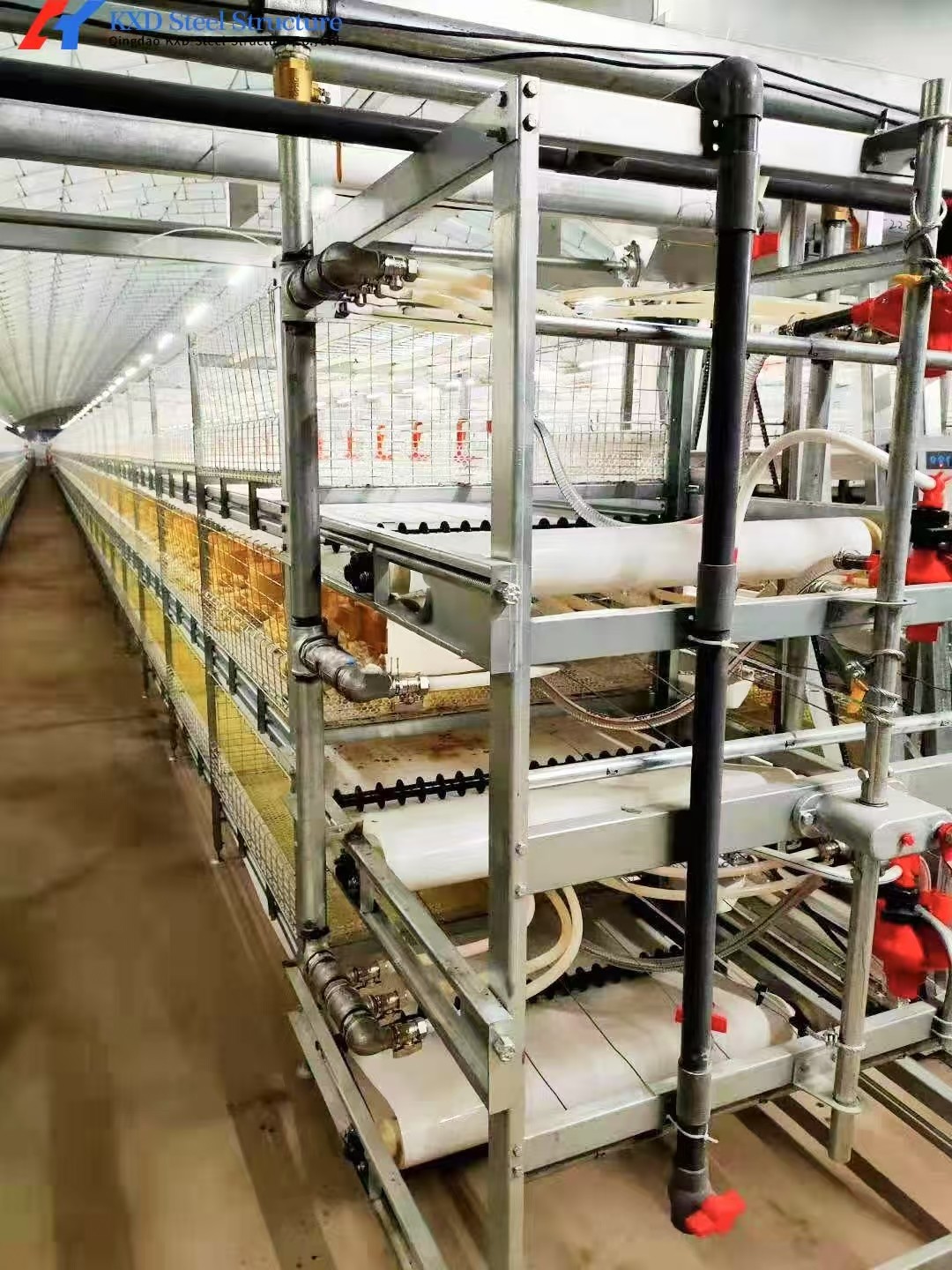Fully Automated Broiler Chicken Cage System For Philippines Poultry Farming