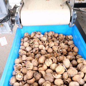 380V Low Voltage Grading Sizing Integrated Walnut Shelling Machine CE Certified