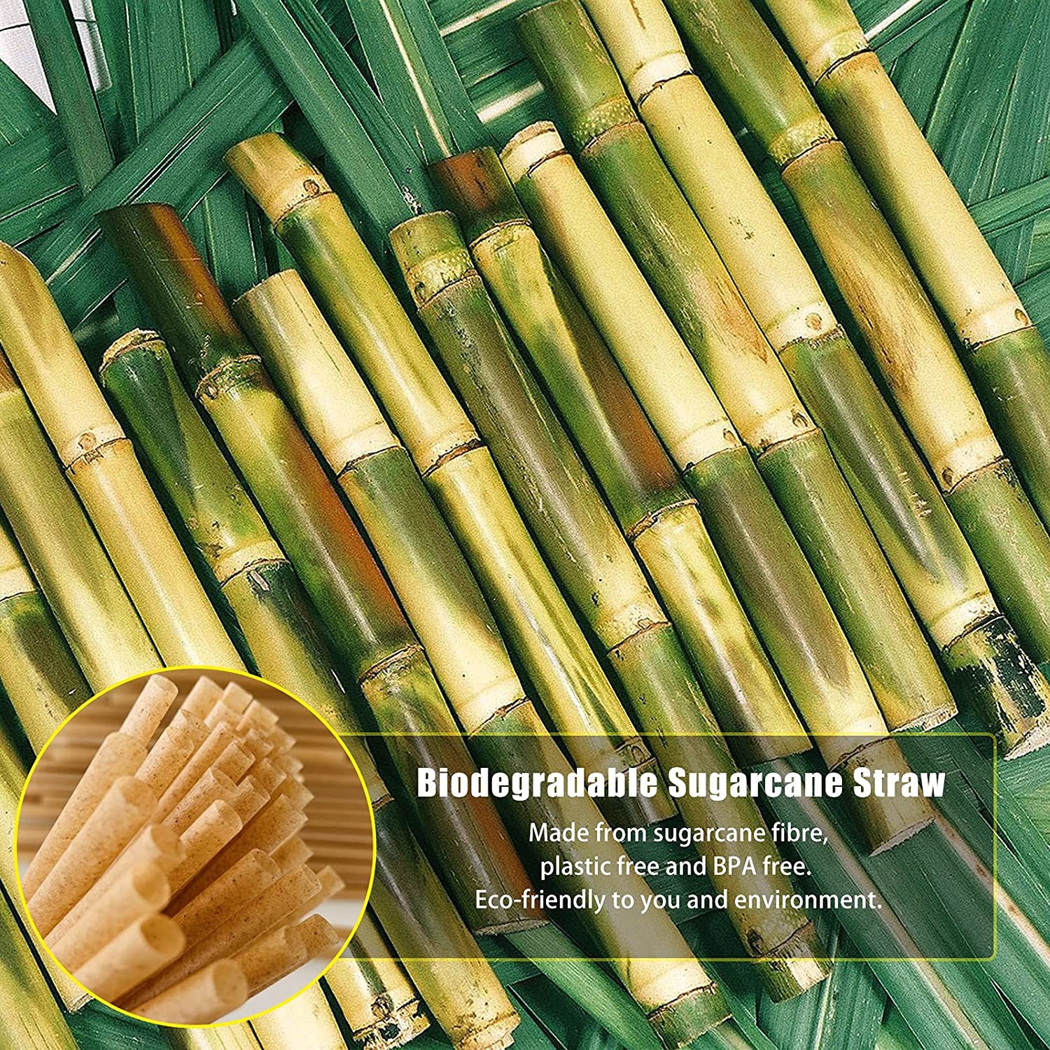 Wholesale Disposable Biodegradables Bagasse Drinking Straws For Party