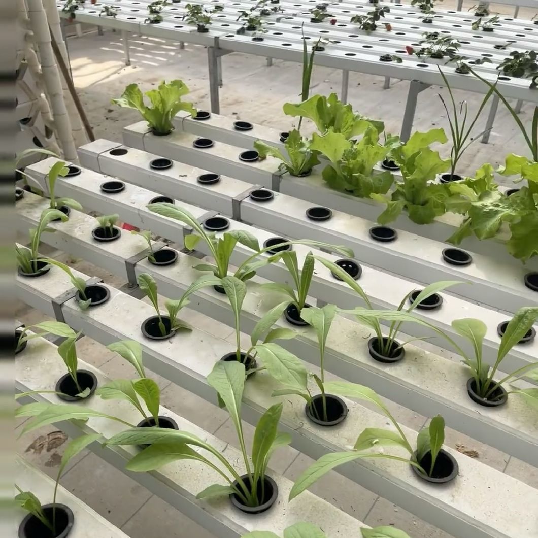 China Origin Multi Span Greenhouse with Shading