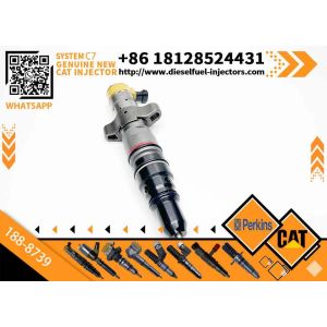 Common Rail Fuel Injector 188-8739 1888739 CAT Injector for Caterpillar C-9