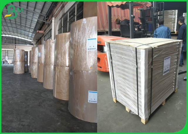 High tear strength  940 x 1280mm 400gsm Kraft Back Duplex Board For Beer Carton Making 