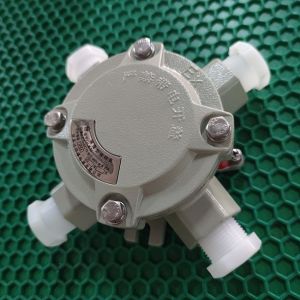  4&quot; 1&quot; Round Explosion Proof Junction Box Manufacturers In ChinaⅡB ⅡC Class WF2 Oil Gas Manufactures