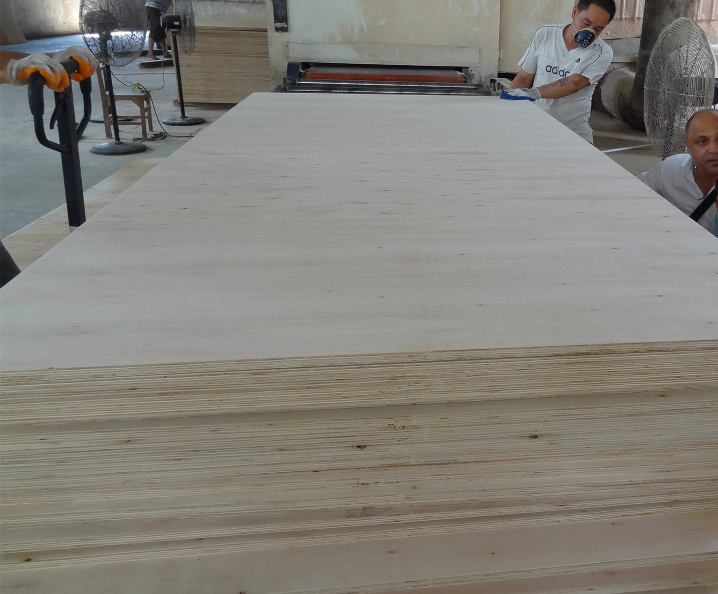 Construction Two Times Hot Press 4x8 Plastic Film Faced Ply