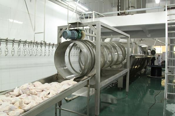Easy Operation Halal Poultry Carcass Chilling Machine for Meat Processing Advantage