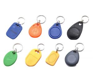  RFID NFC Abs Key Chain Balnk Or Printed With Logo For Access Control Manufactures