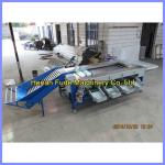 date sorting machine, dates grading machine