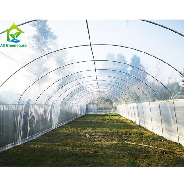Agricultural Polytunnel Commercial Hydroponic Greenhouse For Mushroom Cultivatio