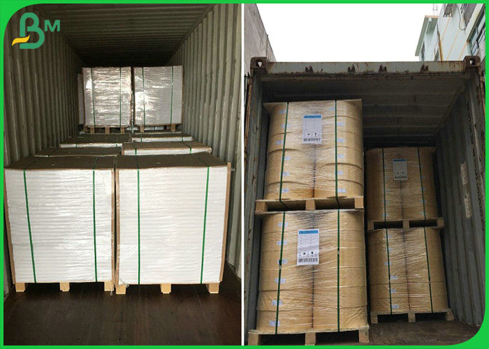 30gsm - 40gsm FDA Certified Food Grade MG paper In Reels For Food Bags