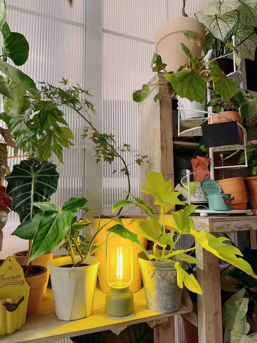 180lm Atmosphere Night Light Indoor Work Light 2700K Mosquito Repellent Lamp