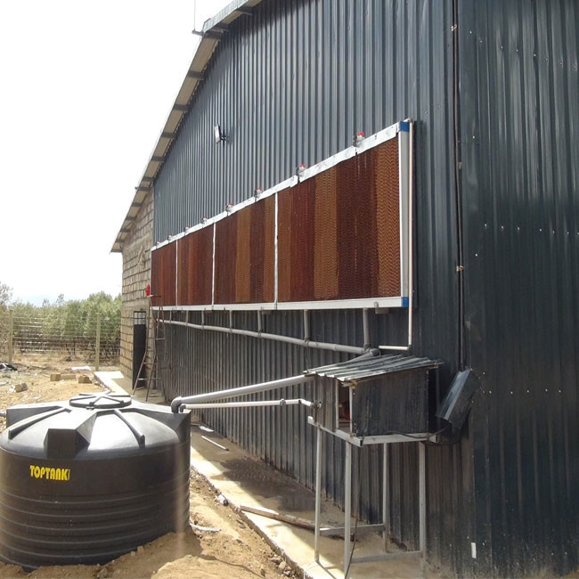 Hot Galvanized Automatic Layer Cage Broiler Cage For Farm Equipment Automatic Chicken Cage System