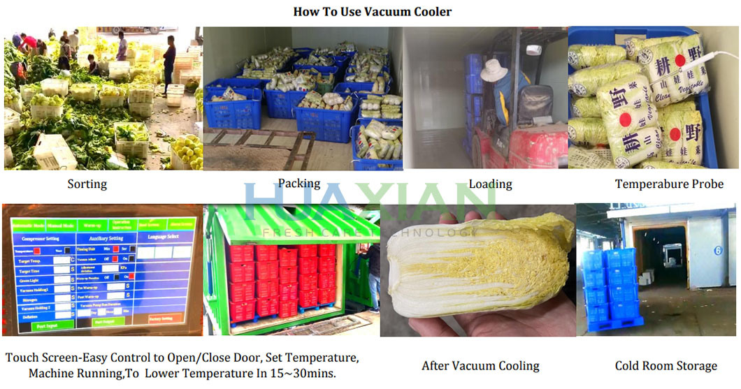 Farm Machine Vacuum Cooling System Machine, Fast Cooling Vegetable Food Machine