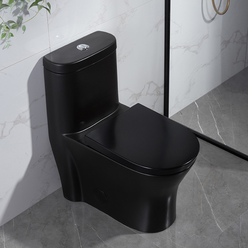 Ada Dual Flush One Piece Toilet With Side Flush 0.8/1.28 Gpf Hotel Wc 765MM