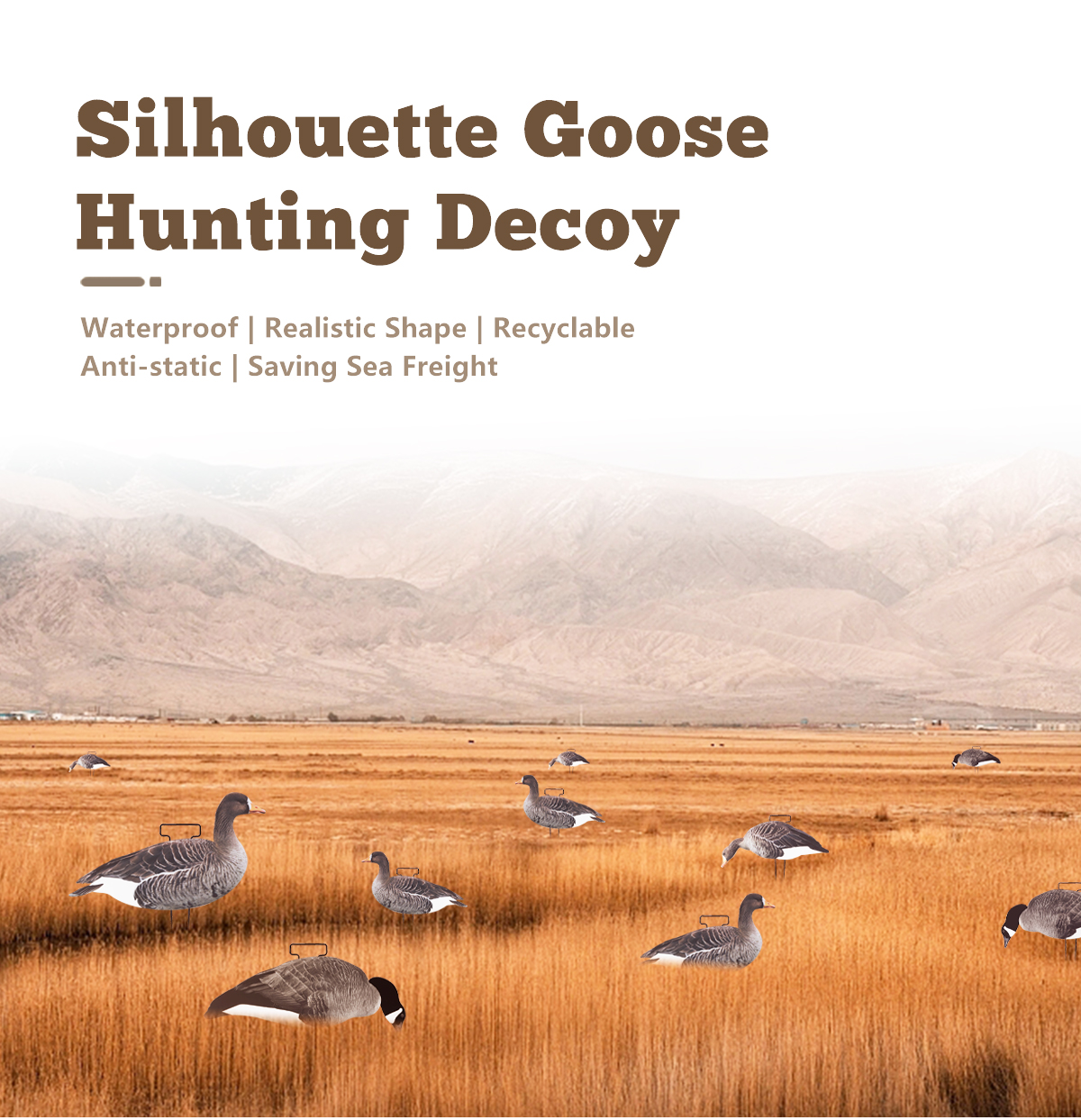 OEM Plastic Lifelike PP Silhouette Specklebelly Goose Decoys Anti Reflective for Hunting