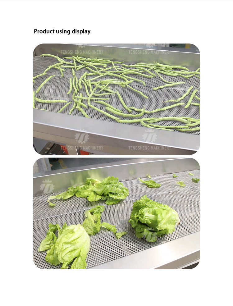 Stainless Steel Vegetable Processing Machine Vibration Draining Machine