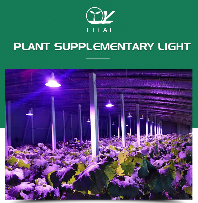 Samsung LED Type Full Spectrum Grow Light for Greenhouse 36w 45w 50w E27