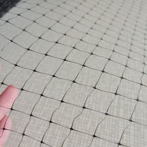 1.5cm Mesh 27gsm PP Anti Bird Net for Grapes or Fruit Trees Customized Length