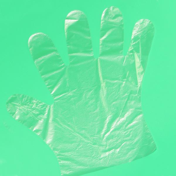 Free Powder Hand Disposable Plastic Gloves Non Sterile For Cooking , Hair