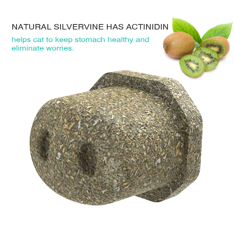 Hot Selling Custom Pet Chew Toys Cat Toys Teeth Cleaning Multifunction Catnip Toys