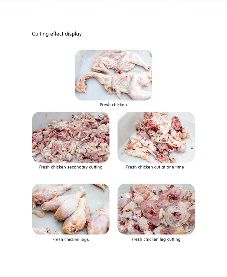 Industrial Electric 800KG/H Meat Processing Machine Beef Lamb Chicken Dicer