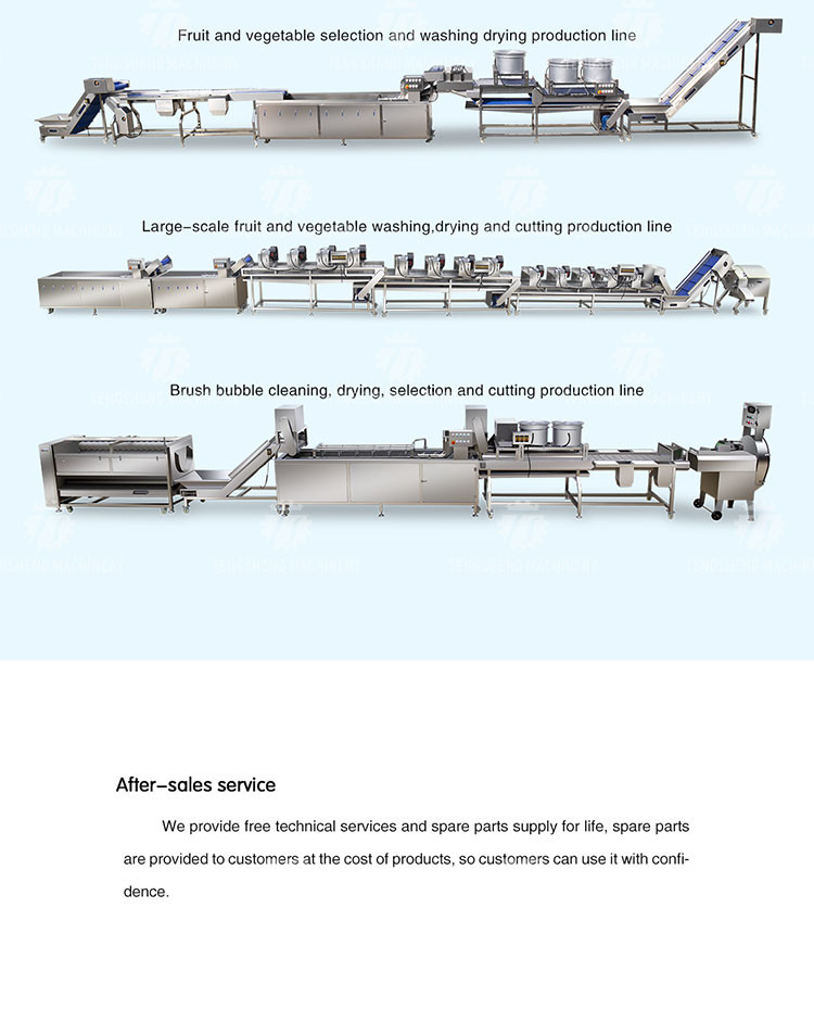 Vegetables and Fruits Bubble Cleaning Vibration Air Drying Machine Production Line