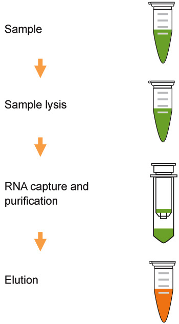 Spin Column Viral RNA Extraction Kit