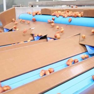 AI-Powered Sizing 2.0 Tons Per Hour 8-Lane Palm Dates Sorting Machine