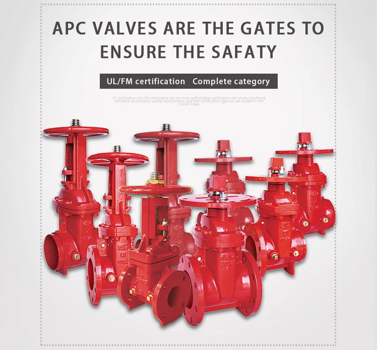 Stainless Steel Gate with Customized Structure BUTTERFLY Cast Iron Gate Valve Ggg50