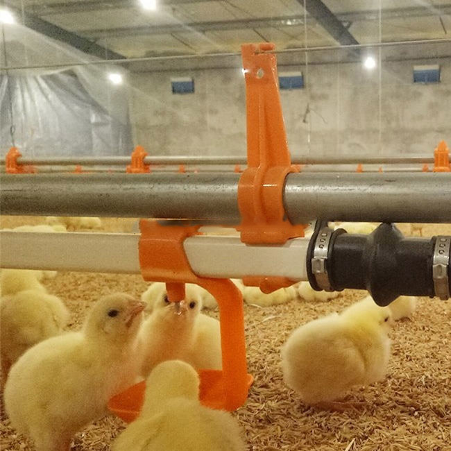 Poultry automatic drinking integral hanging cup
