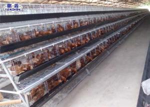 China Galvanized Layer Chicken Open House Battery Cage System For Chicken Farm on sale