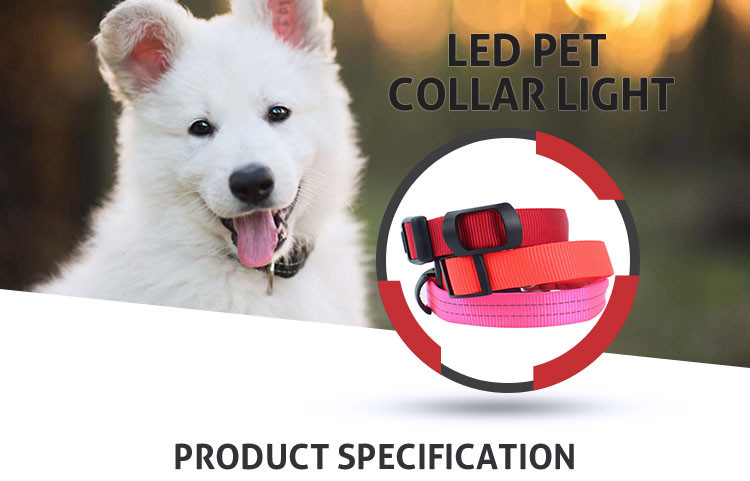 Security LED Iluminous Anti Lost Dog Collar Night Necklace With 1 * CR2032 Button Batteries