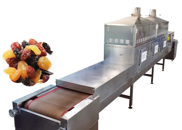 High Efficiency Food Sterilization Equipment Continuous Raisin Belt Silvery