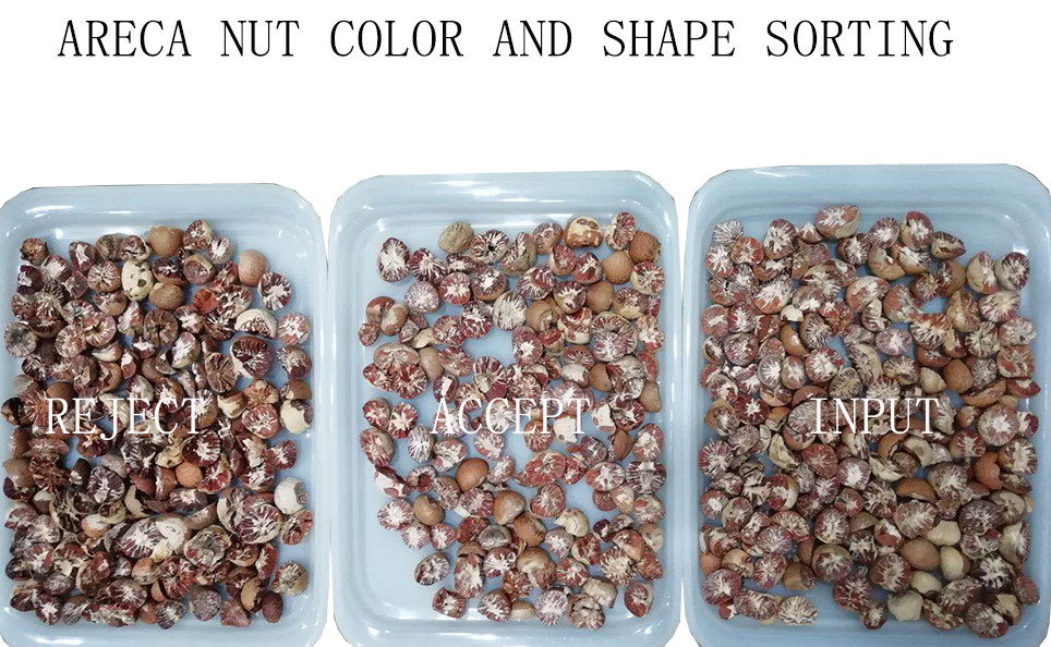 Peeled Peanut Almond Walnut Raisin Color Sorting Machine CCD 5 Chutes