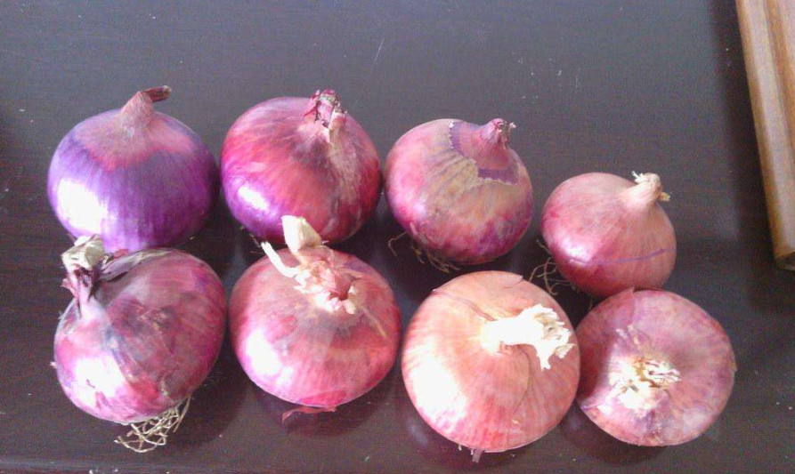 5cm Blood Pressure Reducing Natural Fresh Onion