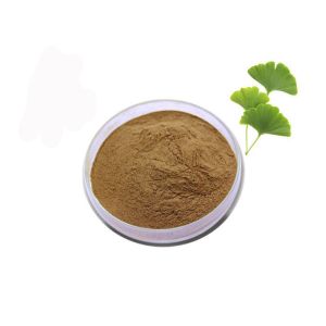 Regulate Blood Fat 24/6 Ginkgo Biloba Standardized Extract