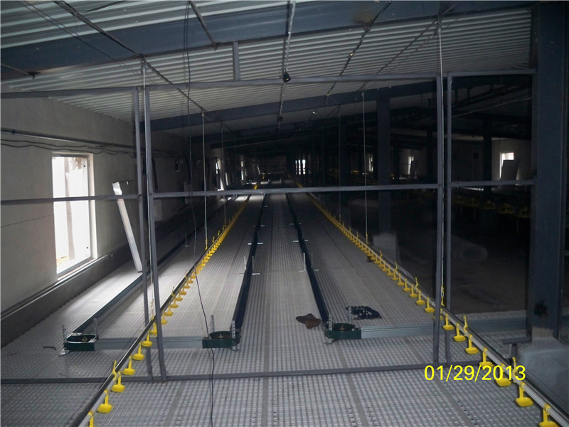 Automatic Galvanized Chicken Farm Equipment 1.5kgs/M Chain Feeding System