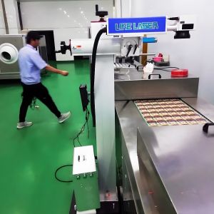 40W CO2 RF Online Flying Laser Marking Machine for Pet Bottles Conveyor Included