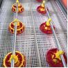 Buy cheap 750w Poultry Farm Equipment Broiler Feeding Equipment 4 pan/3m 3 pan/3m from wholesalers