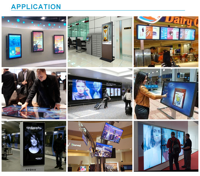 Vertical Mount LCD Digital Multimedia Display With 43'' Panel Digital Picture Display Wifi Indoor Advertising